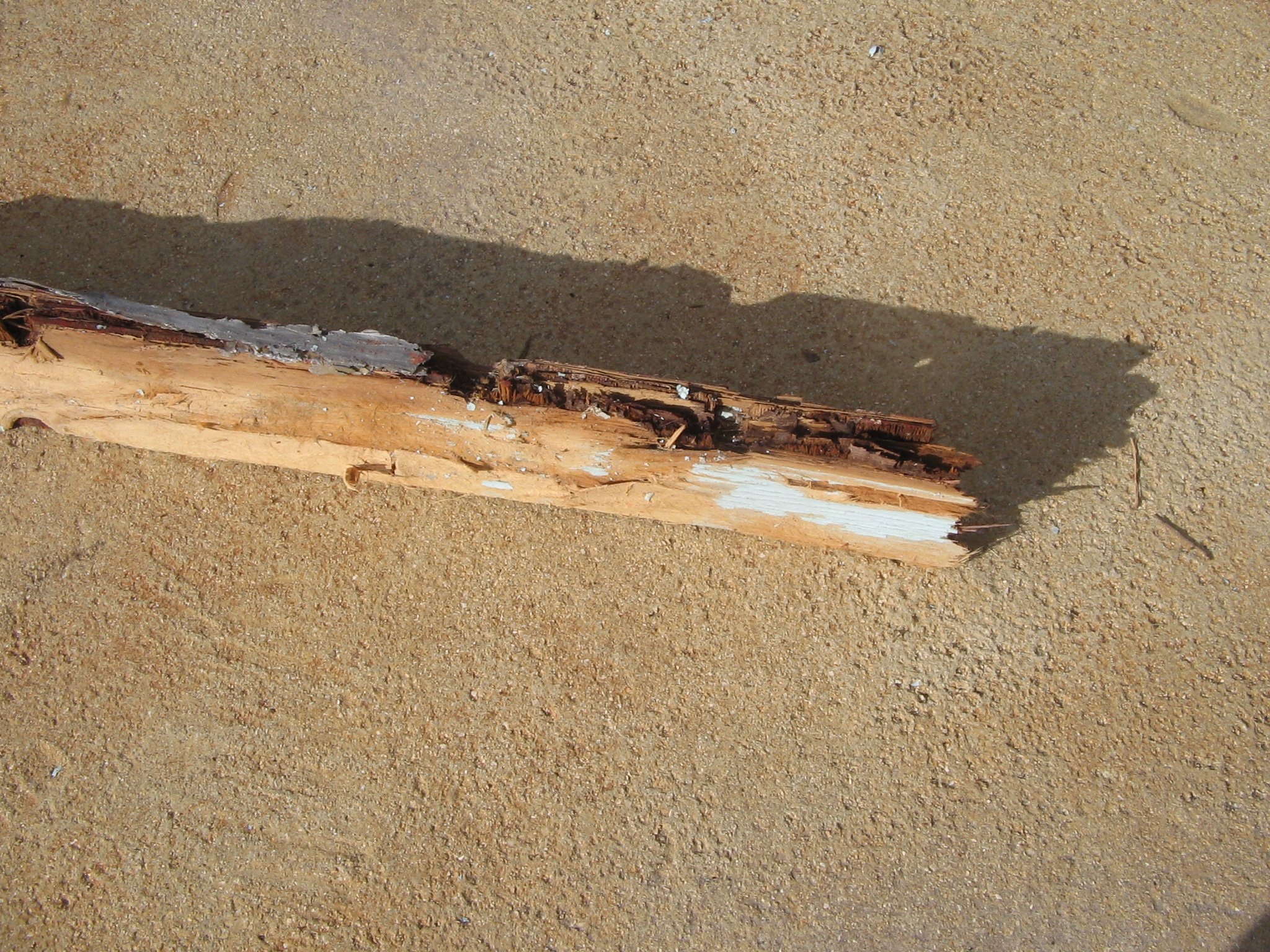 ply wood for deck Pontoon Boat & Deck Boat Forum